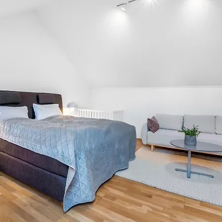 Spacious 3bd Two Level Close To Centre